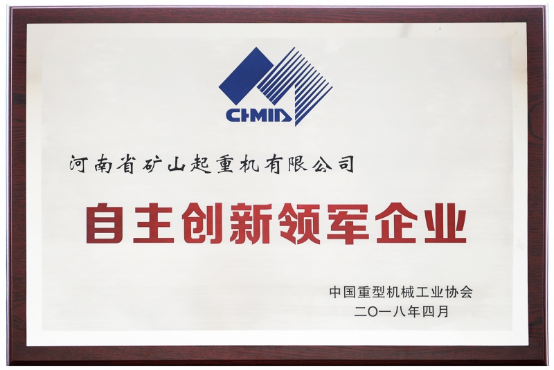 自主**领军企业
